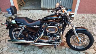 Harley-Davidson 1200 Custom ABS (2014 - 16) - XL 1200C usata
