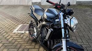 Yamaha FZ6 (2004 - 07) 
