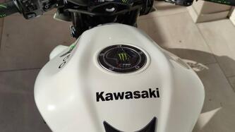 Kawasaki Z 750 (2007 - 14) usata