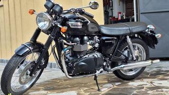 Triumph Bonneville T100 (2008 - 16) usata