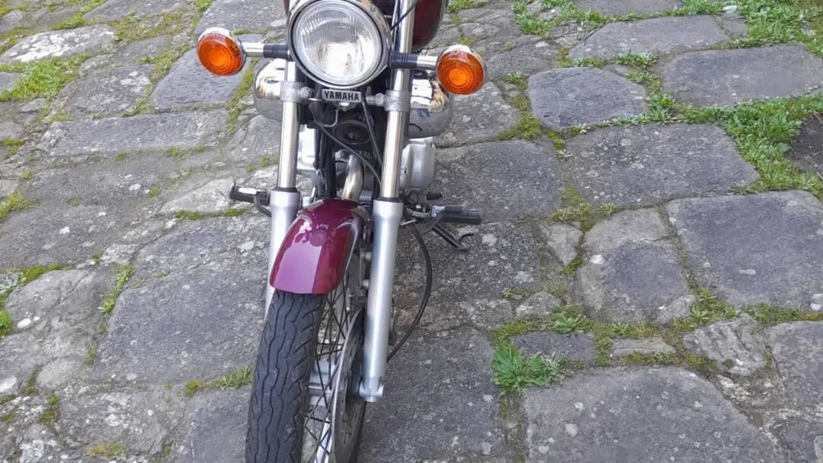 Yamaha XV 250 S Virago (1994 - 01)  (5)