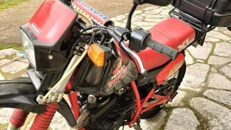Honda XLR 350 epoca