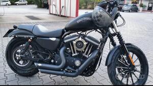 Harley-Davidson 883 Iron (2012 - 14) - XL 883N 