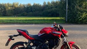 Kawasaki Z 650 50th Anniversary (2022 - 23) 