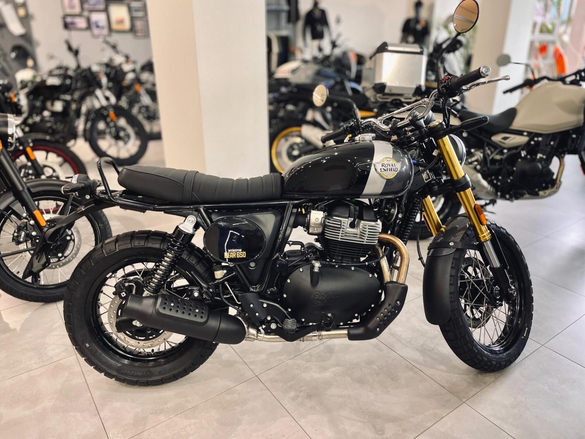 Royal Enfield Bear 650 (2025 - 26) Nuova