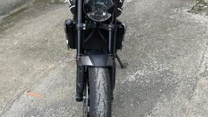 Triumph Trident 660 (2021 - 24) 