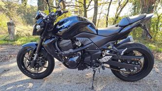 Kawasaki Z 750 R (2011 - 14) usata
