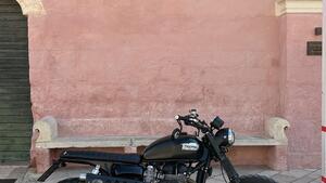 Triumph Scrambler 900 (2023 - 25) 