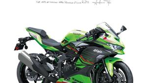 Kawasaki Ninja ZX-4RR (2024 - 25) 