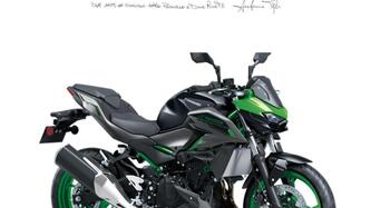 Kawasaki Z 500 SE (2024 - 25) nuova
