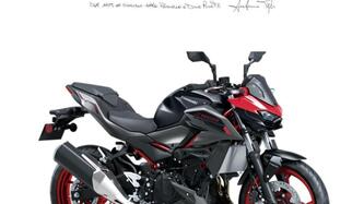 Kawasaki Z 500 SE (2024 - 25) nuova