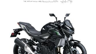 Kawasaki Z 500 (2024 - 25) nuova