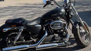 Harley-Davidson 1200 Custom (2007 - 13) - XL 1200C 