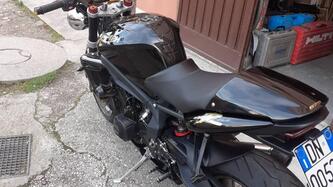 Triumph Street Triple R (2009 - 12) usata