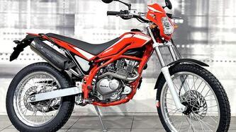 Betamotor Alp 200 (2021 - 25) nuova