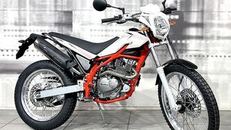 Betamotor Alp 200 (2021 - 25) nuova