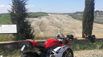 Ducati Panigale V4 S 1100 (2018 - 19) usata