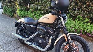 Harley-Davidson 883 Iron (2014 - 16) - XL 883N 
