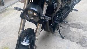 Benelli Leoncino 500 (2021 - 25) 