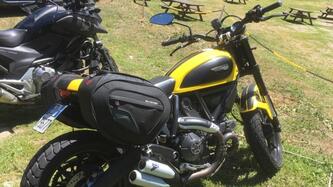 Ducati Scrambler 800 Icon (2015 - 16) usata
