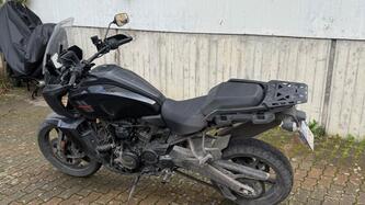 Harley-Davidson Pan America 1250 (2020 - 25) usata