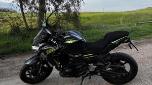 Kawasaki Z 650 (2020) 
