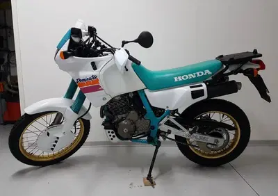 Honda NX 650 Dominator - Annuncio 9650996