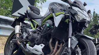 Kawasaki Z 900 (2020) usata