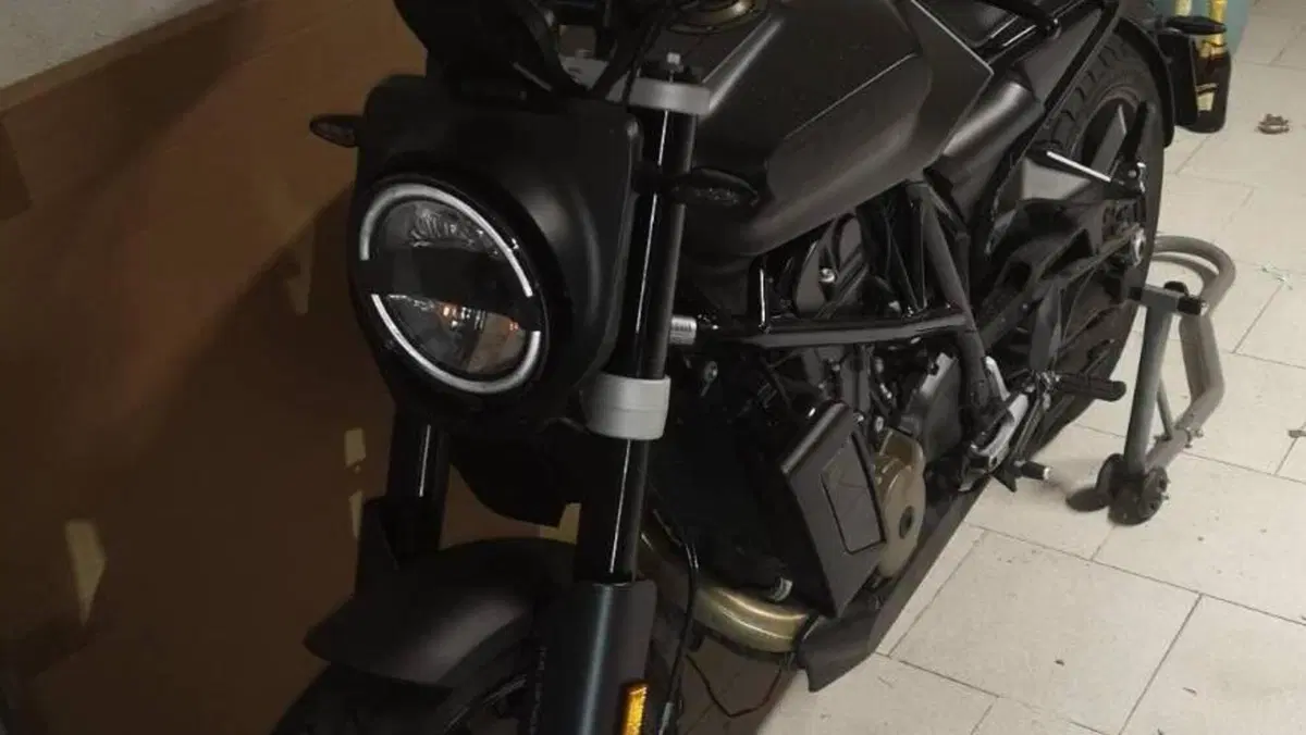 Husqvarna Svartpilen 701 (2019)  (3)