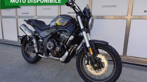 Voge Trofeo 525ACX Scrambler (2023 - 25) 