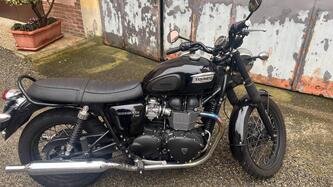 Triumph Bonneville T100 (2008 - 16) usata