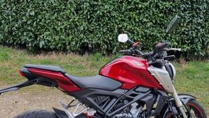 Honda CB 125 R (2021 - 23) 