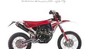 Fantic Motor XEF 250 Enduro Trail Competition (2023 - 25) 
