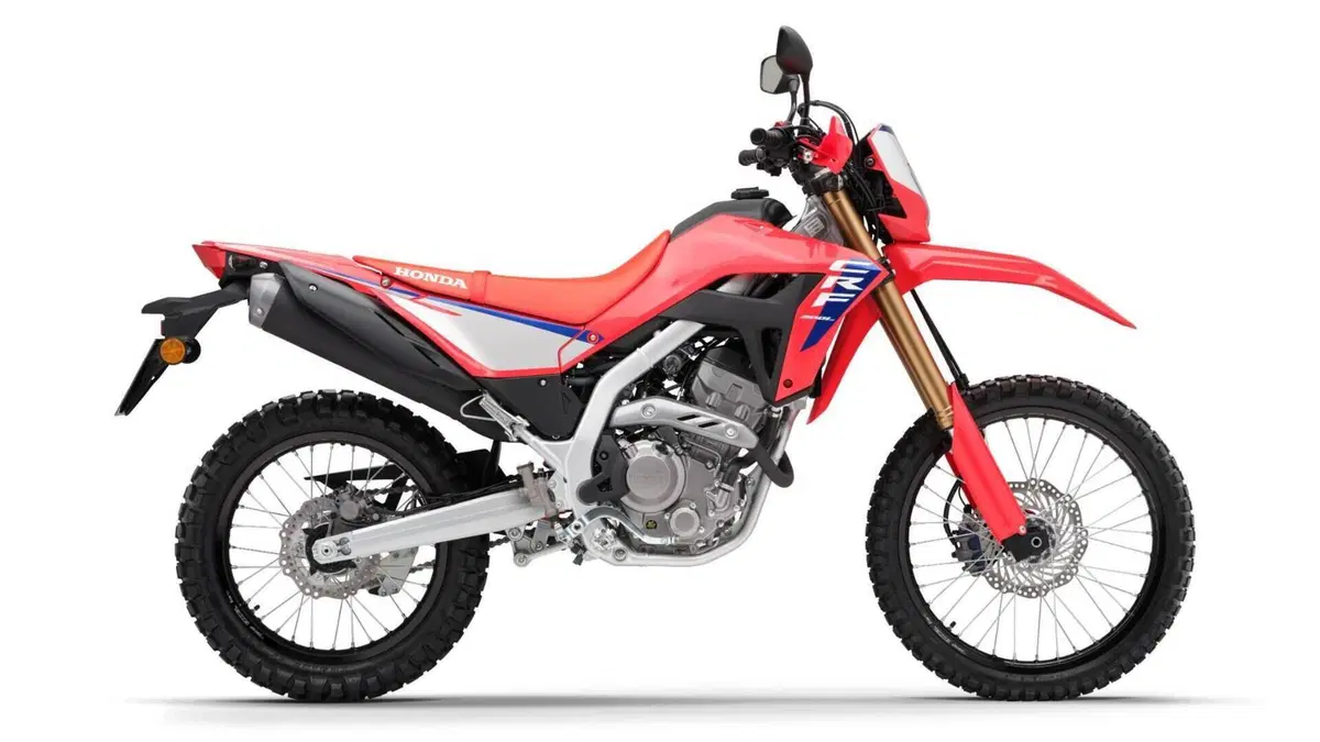 Honda CRF 300L (2025 - 26)  (4)
