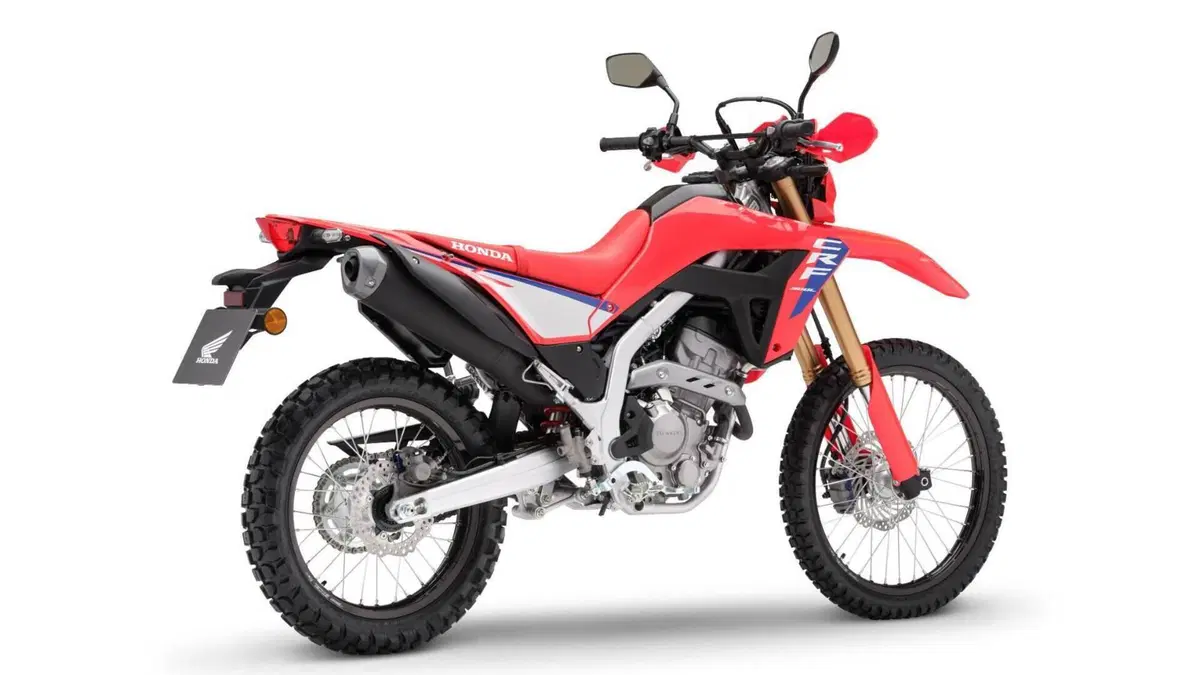 Honda CRF 300L (2025 - 26)  (6)