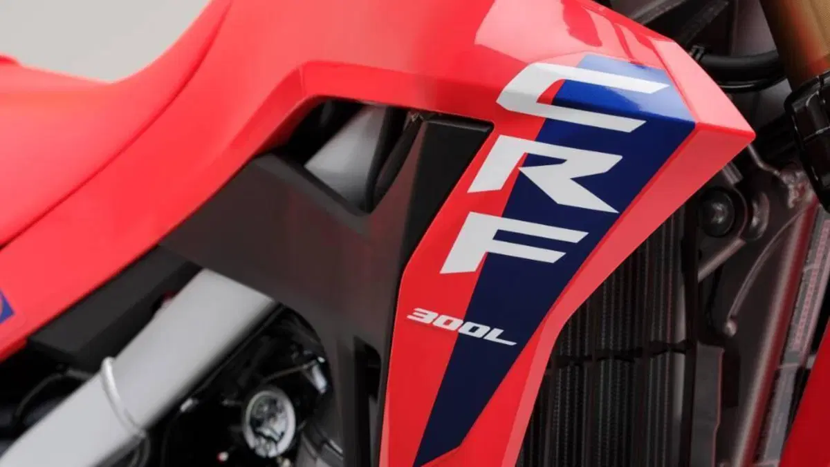 Honda CRF 300L (2025 - 26)  (9)