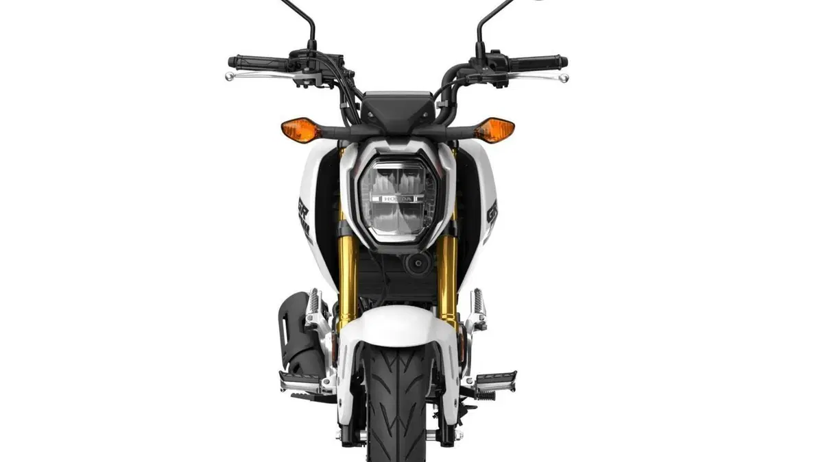 Honda MSX 125 Grom (2021 - 26)  (6)