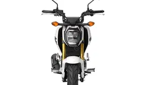 Honda MSX 125 Grom (2021 - 26)  (6)
