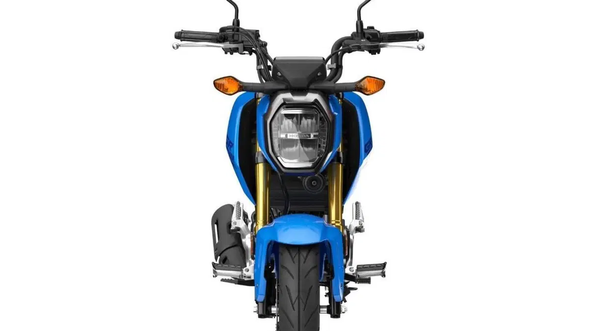 Honda MSX 125 Grom (2021 - 26)  (3)
