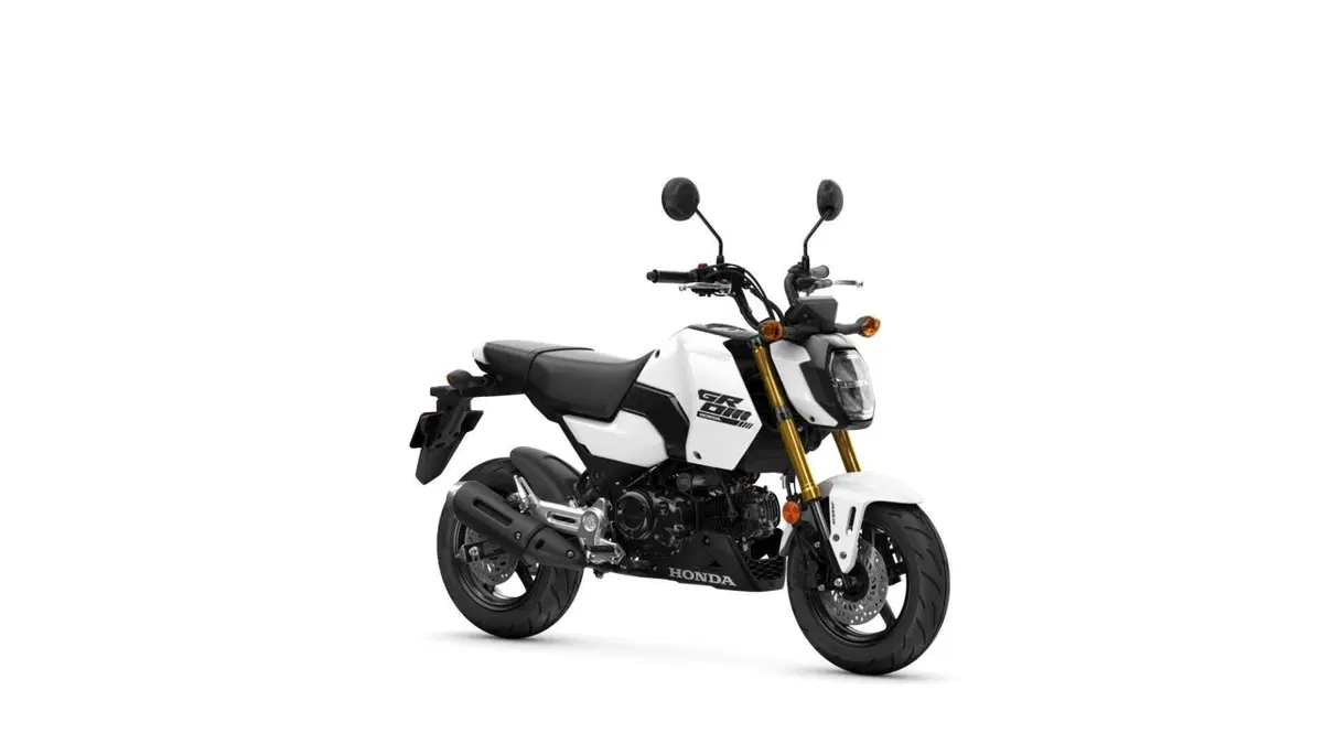 Honda MSX 125 Grom (2021 - 26)  (4)