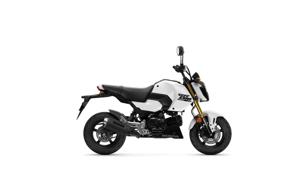Honda MSX 125 Grom (2021 - 26)  (5)