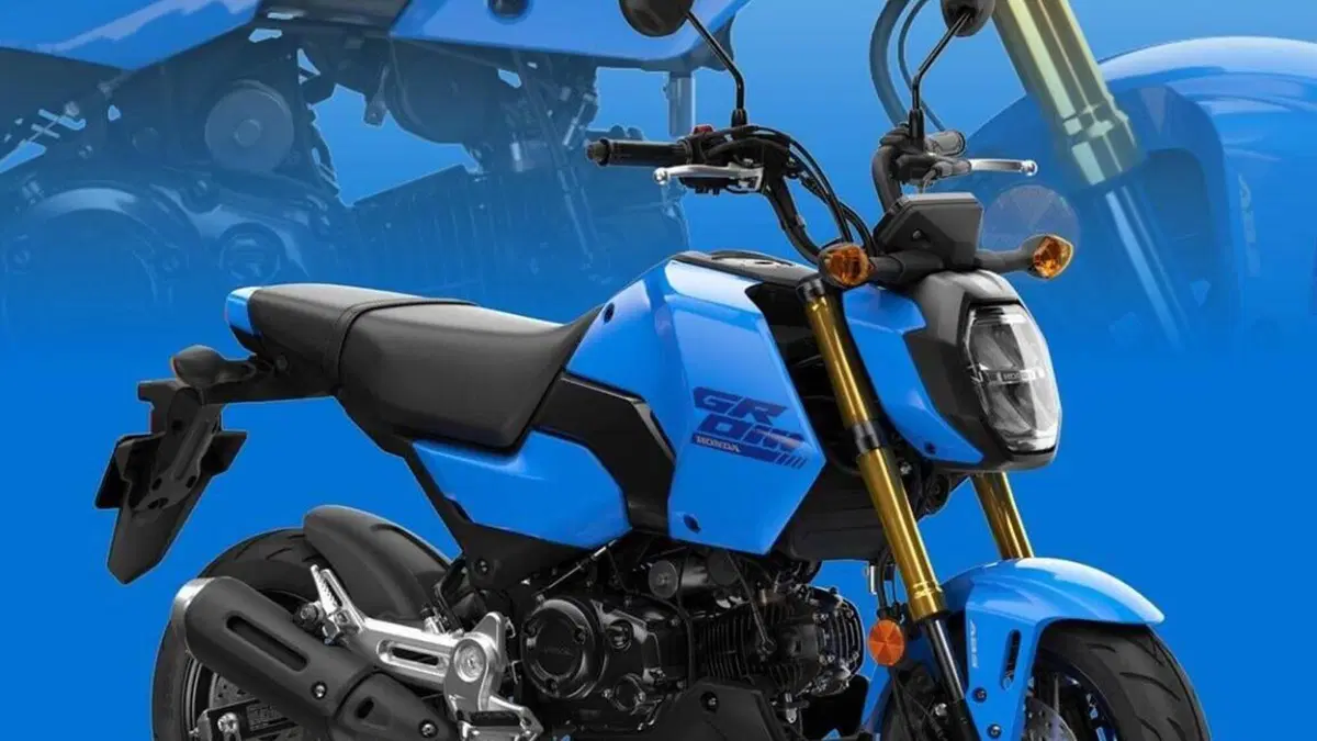 Honda MSX 125 Grom (2021 - 26)  (7)