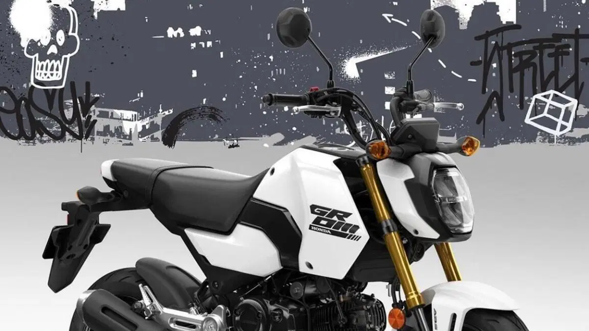 Honda MSX 125 Grom (2021 - 26)  (8)