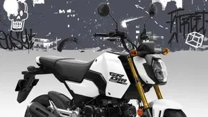 Honda MSX 125 Grom (2021 - 26)  (8)
