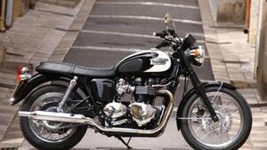 Triumph Bonneville T100 (2008 - 16)