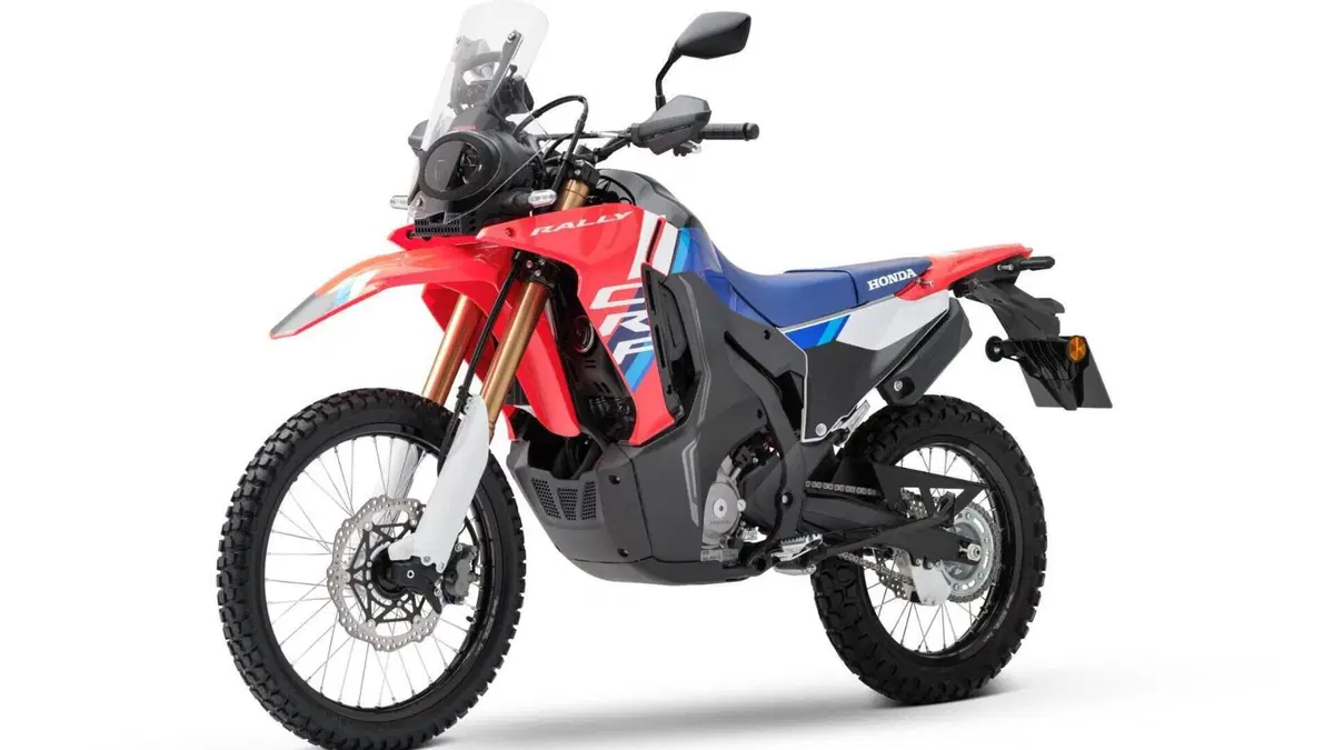 Honda CRF 300 Rally (2025 - 26)  (4)