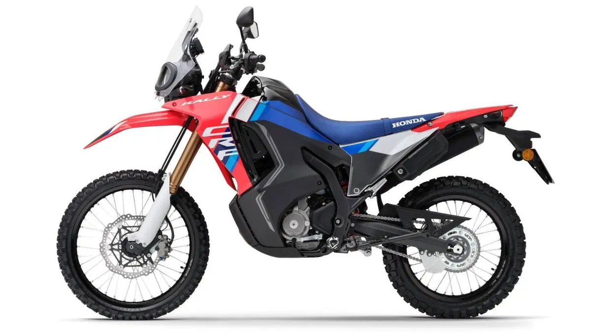 Honda CRF 300 Rally (2025 - 26)  (5)