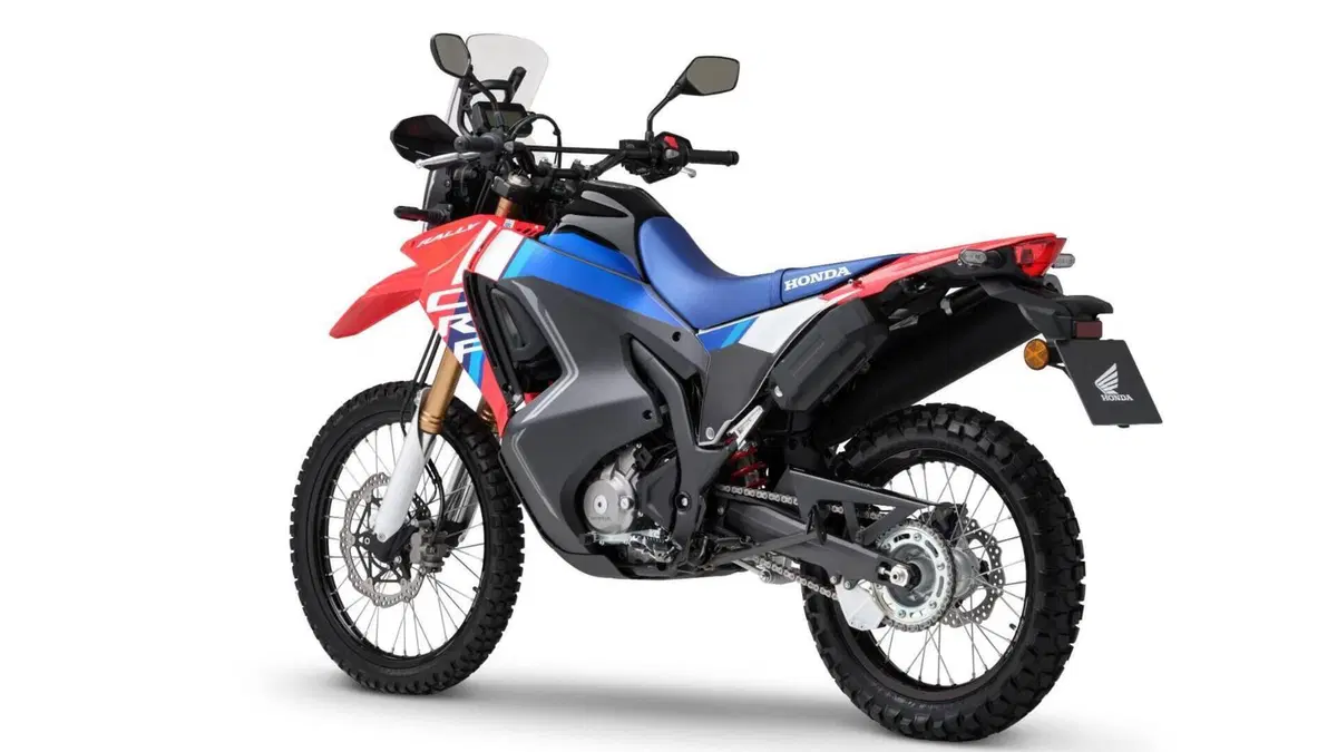 Honda CRF 300 Rally (2025 - 26)  (3)