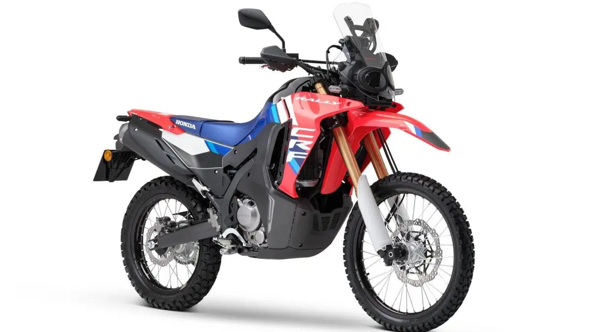 Honda CRF 300 Rally (2025 - 26) 