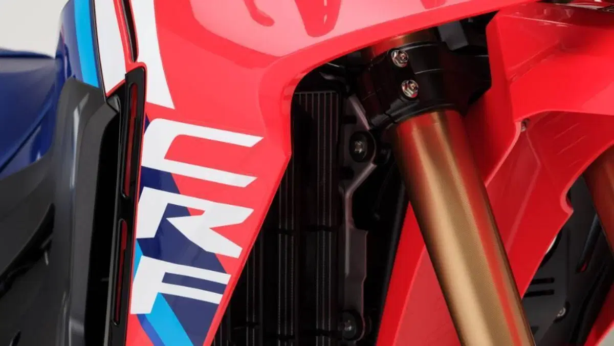 Honda CRF 300 Rally (2025 - 26)  (8)
